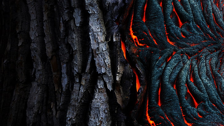 black tree bark, abstract, lava, black, texture, tree bark, HD wallpaper