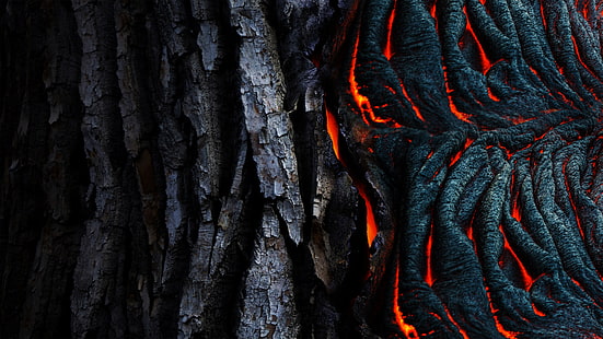 кора черного дерева, аннотация, лава, черный, текстура, кора дерева, HD обои HD wallpaper