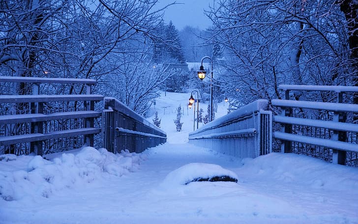огни, сумерки, Зима, фотография, деревья, пейзаж, мост, закат, снег, вечер, забор, домики, боке, городской, уличные фонари, снежный пейзаж, HD обои