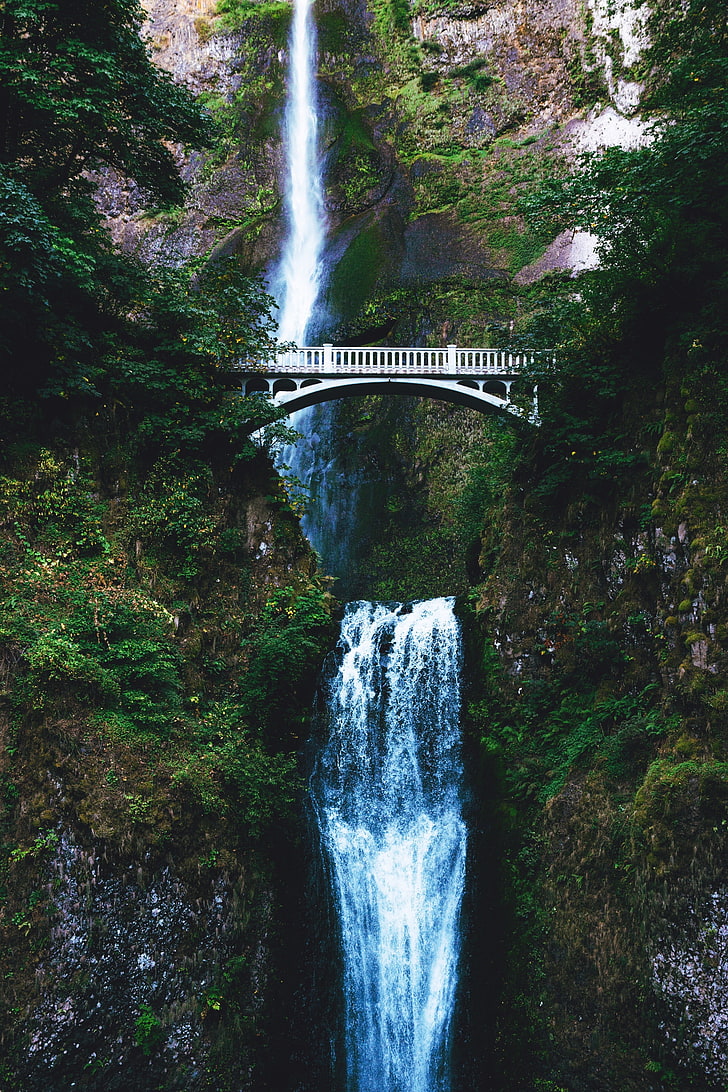 biały drewniany most, przyroda, woda, most, drzewa, wodospad, Tapety HD, tapety na telefon