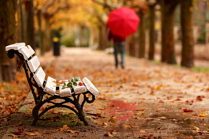 Adios, adeus outono, armação de metal preto e cadeira de banco de madeira branca, Adios, adeus, bancos de parque, flor, rosa, pessoas, cuidados, guarda-chuva, outono, HD papel de parede