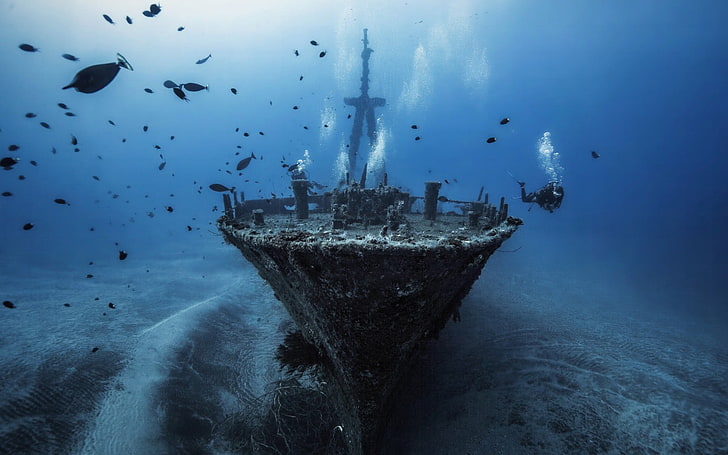 sunken ship photo, underwater, fish, shipwreck, divers, sea, HD wallpaper