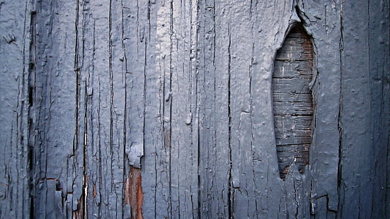 дерево, деревянная поверхность, стена, текстура, доски, просто, структура, HD обои HD wallpaper