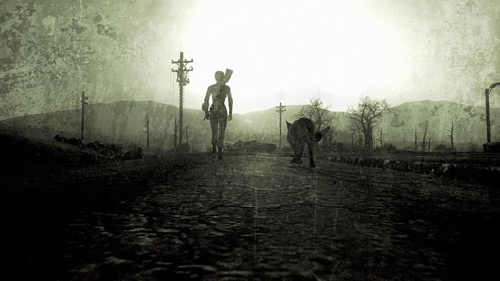 sylwetka człowieka i wilka malarstwo, Fallout, Fallout 3, grafika, Tapety HD