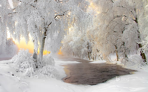 Finlandiya Kış Orman Kar Nehri 2018 Bing, HD masaüstü duvar kağıdı HD wallpaper