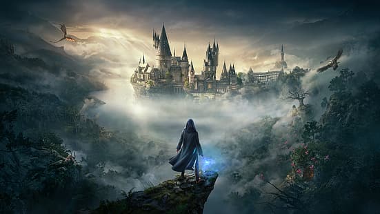 Hogwarts Vermächtnis, Videospiele, Drache, Eule, Harry Potter, Hogwarts, Vögel, Turm, HD-Hintergrundbild HD wallpaper