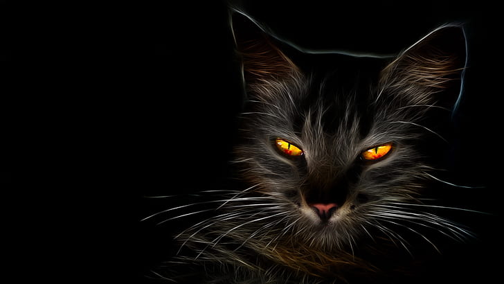 cat, dark, cat eyes, whiskers, darkness, kitten, HD wallpaper
