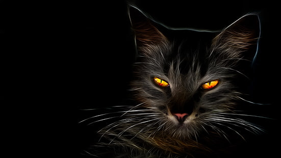 gato, escuro, olhos de gato, bigodes, escuridão, gatinho, HD papel de parede HD wallpaper