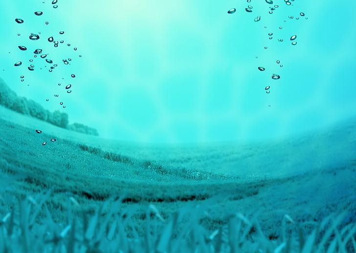 blue grass, flood, field, bubbles, water, HD wallpaper