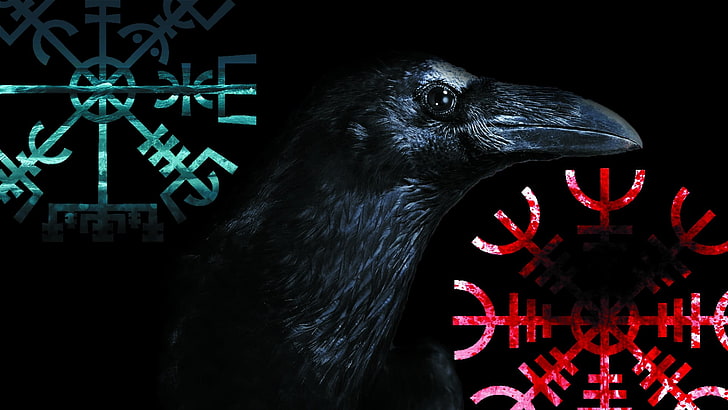cuervo negro, Vegvísir, cuervo, Aegishjalmur, vikingos, Fondo de pantalla HD
