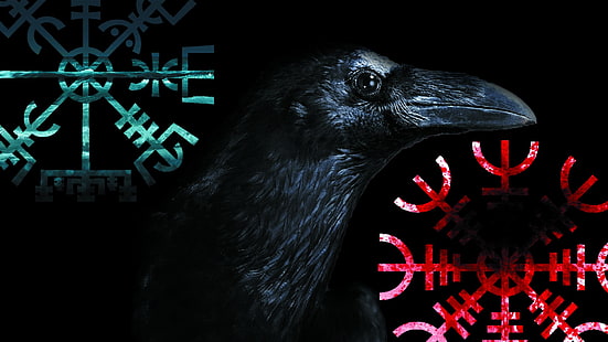black crow, Vegvísir, crow, Aegishjalmur, Vikings, HD wallpaper HD wallpaper