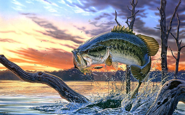 gray and black fish painting, nature, landscape, painting, artwork, trees, clouds, Al Agnew, fish, water, river, splashes, sunset, dead trees, fishing, water drops, HD wallpaper