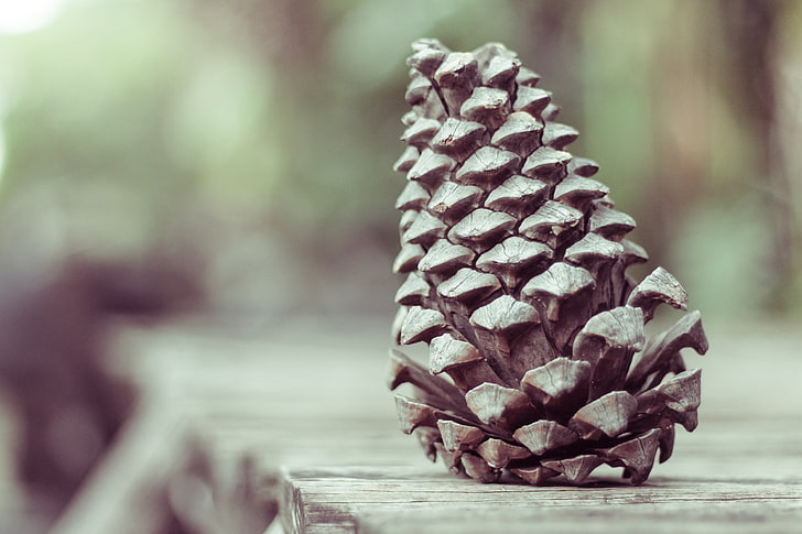 brown pinecone, pine cone, shape, cone, HD wallpaper