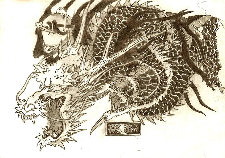 Art de tatouage HD d'art de tatouage de dragon, tatouage de dragon, yakuza, Fond d'écran HD