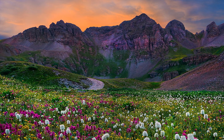 Campo de flores silvestres con flores Hierba verde Puesta de sol Montaña Colorado Fondo de pantalla Hd 3840 × 2400, Fondo de pantalla HD