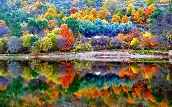 الخريف والمناظر الطبيعية والطبيعة، خلفية HD
