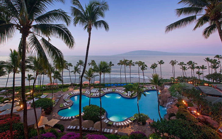 Romantic Places For Leisure Pools, Palm Trees, Beautiful Sandy Beaches, Hawaii Regency Maui Resort And Spa Desktop Wallpaper Hd 3000×1875, HD wallpaper