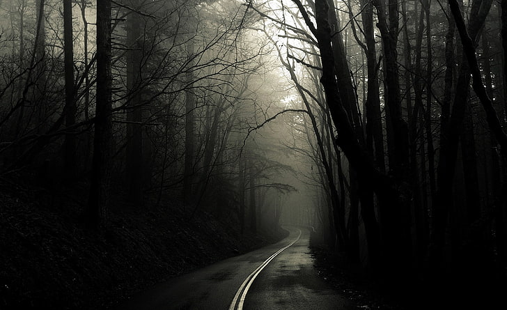 Dark Road Forest, svart träd, Aero, Black, Dark, Forest, Road, HD tapet