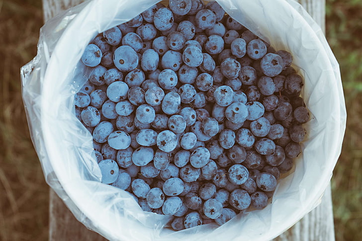 berry, blueberry, latar belakang buram, merapatkan, lezat, makan, makanan, segar, buah-buahan, panen, kesehatan, makanan sehat, bidikan sudut tinggi, nutrisi, plastik, manis, kayu, Wallpaper HD