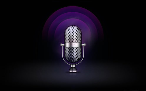 радио микрофон - музыка тема обои, серый конденсаторный микрофон картинки, HD обои HD wallpaper