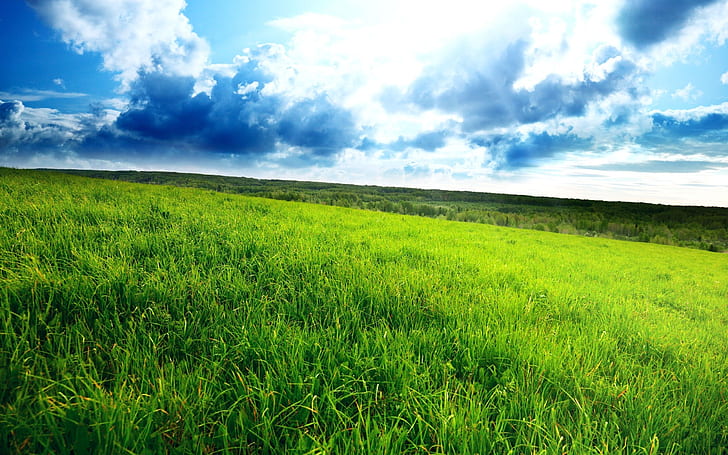 Großartiges grünes Feld, Frühling, Landschaft, Ansicht, Natur, HD-Hintergrundbild