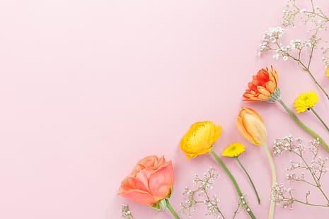  flowers, beautiful, spring, composition, tender, floral, HD wallpaper HD wallpaper