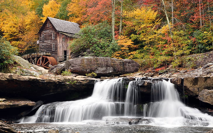 秋、森林、滝、工場、バブコック州立公園、ウェストバージニア州、 HDデスクトップの壁紙