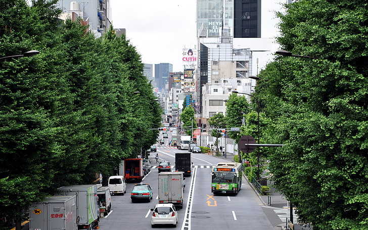 緑の葉の木、日本、交通、アジア、都市、車、バス、 HDデスクトップの壁紙