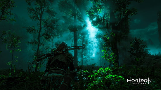 Horizon Zero Dawn Vektorgrafik, Horizon: Zero Dawn, Nacht, Alloy, Videospiele, HD-Hintergrundbild HD wallpaper