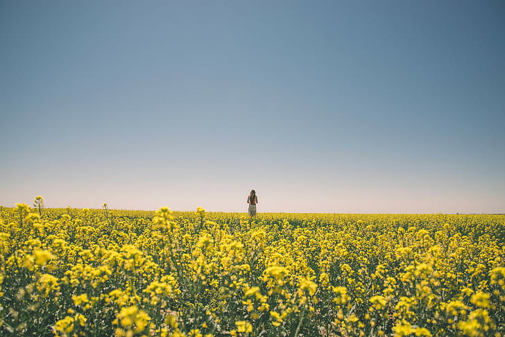 Noel Alvarenga, fotografia, Chill Out, kobiety, kobiety na zewnątrz, krajobraz, niebo, zielnik, żółty kwiat, bez stanika, blondynka, głębia pola, Tapety HD