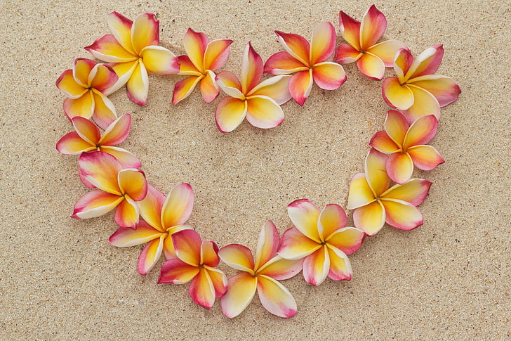 sand, beach, flowers, heart, love, romantic, plumeria, floral, HD wallpaper