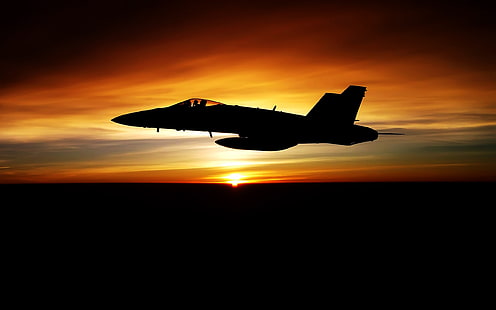 siluet pesawat selama jam emas, FA-18 Hornet, pesawat, matahari terbenam, pesawat militer, siluet, Wallpaper HD HD wallpaper