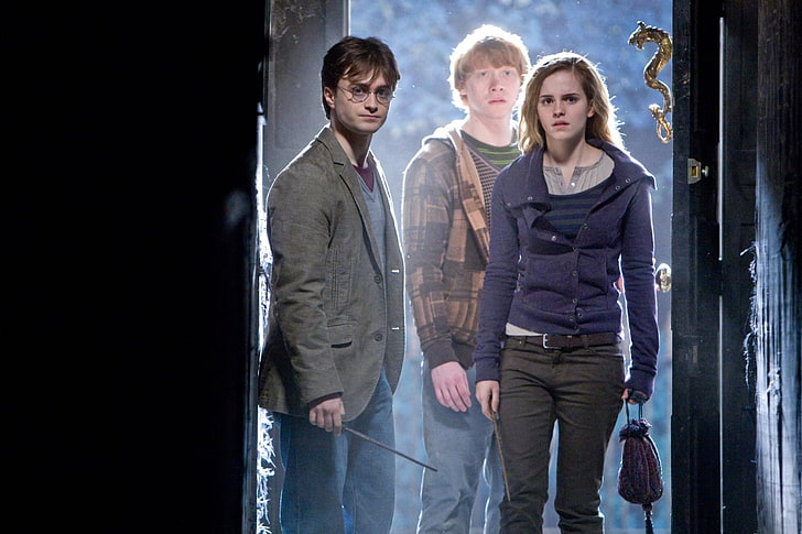 Harry Potter, Harry Potter dan Relikui Kematian: Bagian 1, Hermione Granger, Ron Weasley, Wallpaper HD