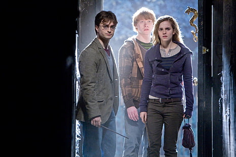 Harry Potter, Harry Potter ve Ölüm Yadigarları: Bölüm 1, Hermione Granger, Ron Weasley, HD masaüstü duvar kağıdı HD wallpaper
