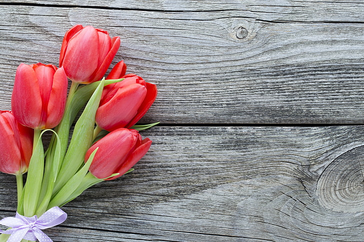 fünf rote Blumen, Blumen, Strauß, rot, frisch, Holz, rosa, schön, romantisch, Tulpen, rote Tulpen, HD-Hintergrundbild