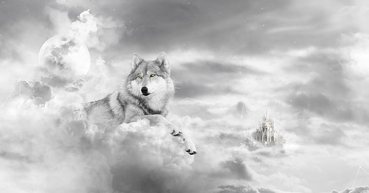 Wolf In The Clouds, canis lupus, abstract, wolf, wild animals, animals, white, black, clouds, fantasy, HD wallpaper