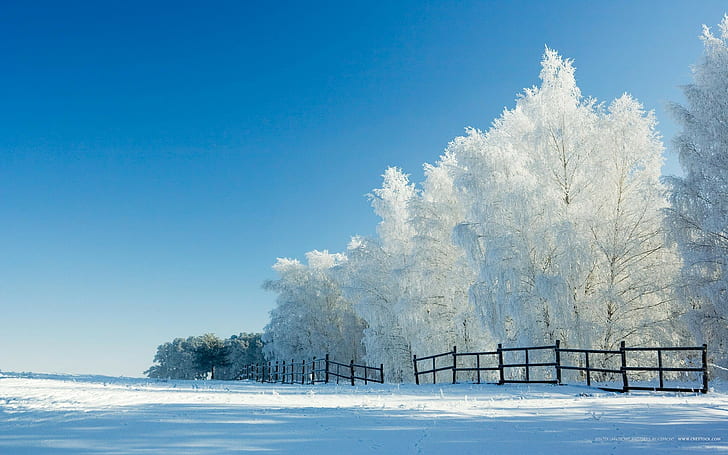 風景、冬、雪、澄んだ空、空、フェンス、フィールド、青、 HDデスクトップの壁紙