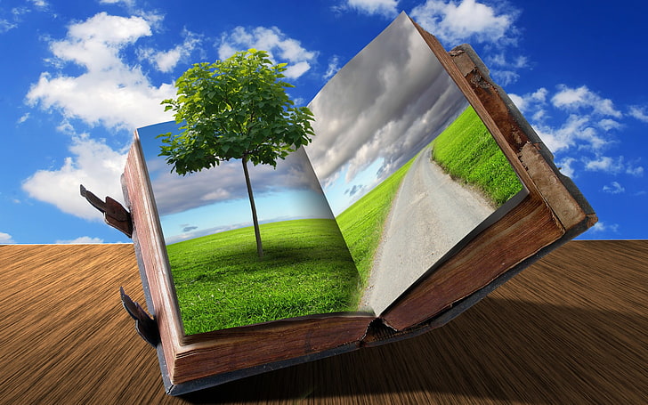 Libro creativo, árbol verde en libro, arte y creatividad, naturaleza, creativo, camino, libro, Fondo de pantalla HD