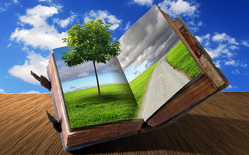 หนังสือสร้างสรรค์, ต้นไม้สีเขียวในหนังสือ, ศิลปะและความคิดสร้างสรรค์, ธรรมชาติ, ความคิดสร้างสรรค์, ถนน, หนังสือ, วอลล์เปเปอร์ HD HD wallpaper