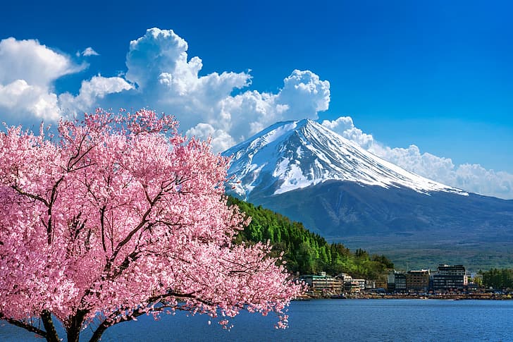 wiśnia, wiosna, Japonia, Sakura, kwitnienie, góra Fuji, krajobraz, różowy, kwiat, góra, Fuji, Tapety HD