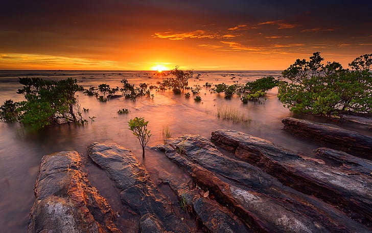 중앙 지구 다윈 호주 풍경 Hd Mindil 해변 일몰 시장 해변 배경 화면 3840 × 2400, HD 배경 화면