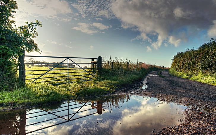 road, field, summer, nature, the fence, puddle, HD wallpaper