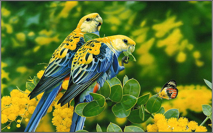 Pássaros azul amarelo papagaios borboleta árvore com flores amarelas e folhas verdes, papel de parede bonito hd, HD papel de parede
