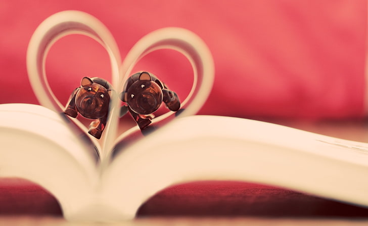 Love, two rodent inside open book, Love, creative design, HD wallpaper