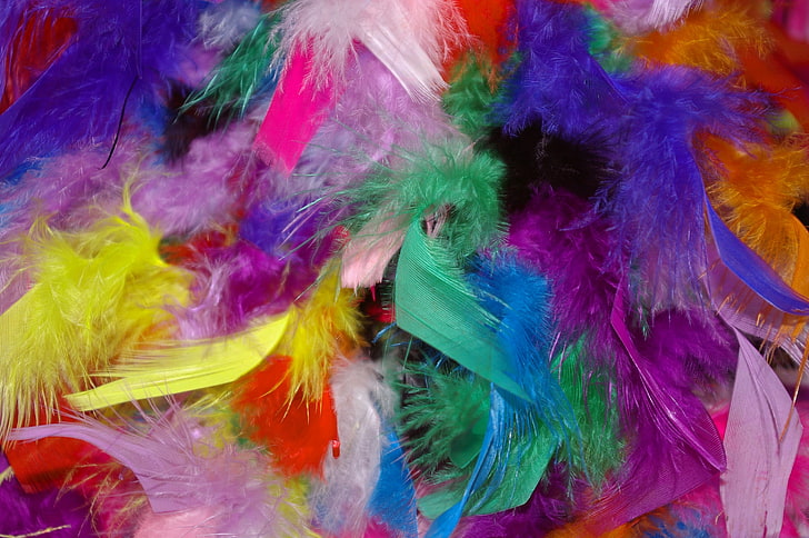 assorted-color feather lot, feathers, background, colorful, HD wallpaper