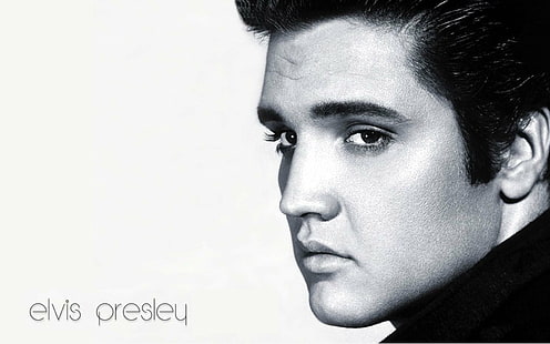 Penyanyi, Elvis Presley, Musik, Rock & Roll, The King, Wallpaper HD HD wallpaper