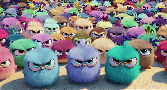 Angry Birds, The Angry Birds Movie, Colourful, Movie, Wallpaper HD HD wallpaper