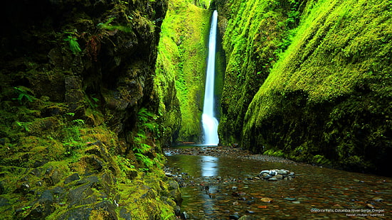 Водопад Онеонта, дефиле на река Колумбия, Орегон, водопади, HD тапет HD wallpaper