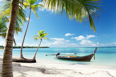 Тропический рай, тропический, рай, солнце, пляж, побережье, море, небо, синий, изумруд, океан, пальма, лето, песок, отпуск, HD обои HD wallpaper