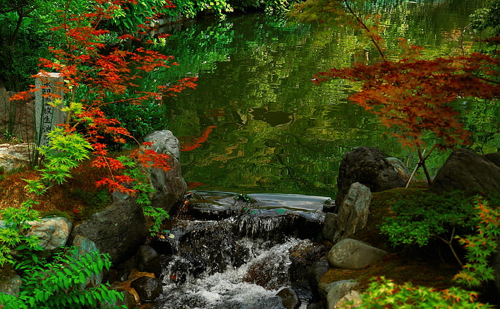 Jardim de Kyoto, Japão, floresta e córrego, Ásia, Japão, agradável, natureza, jardim, kyoto, água, lago, folhagem, HD papel de parede